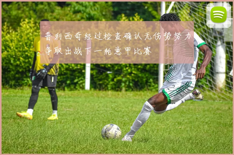 普利西奇经过检查确认无伤势努力争取出战下一轮意甲比赛