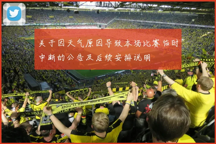 关于因天气原因导致本场比赛临时中断的公告及后续安排说明
